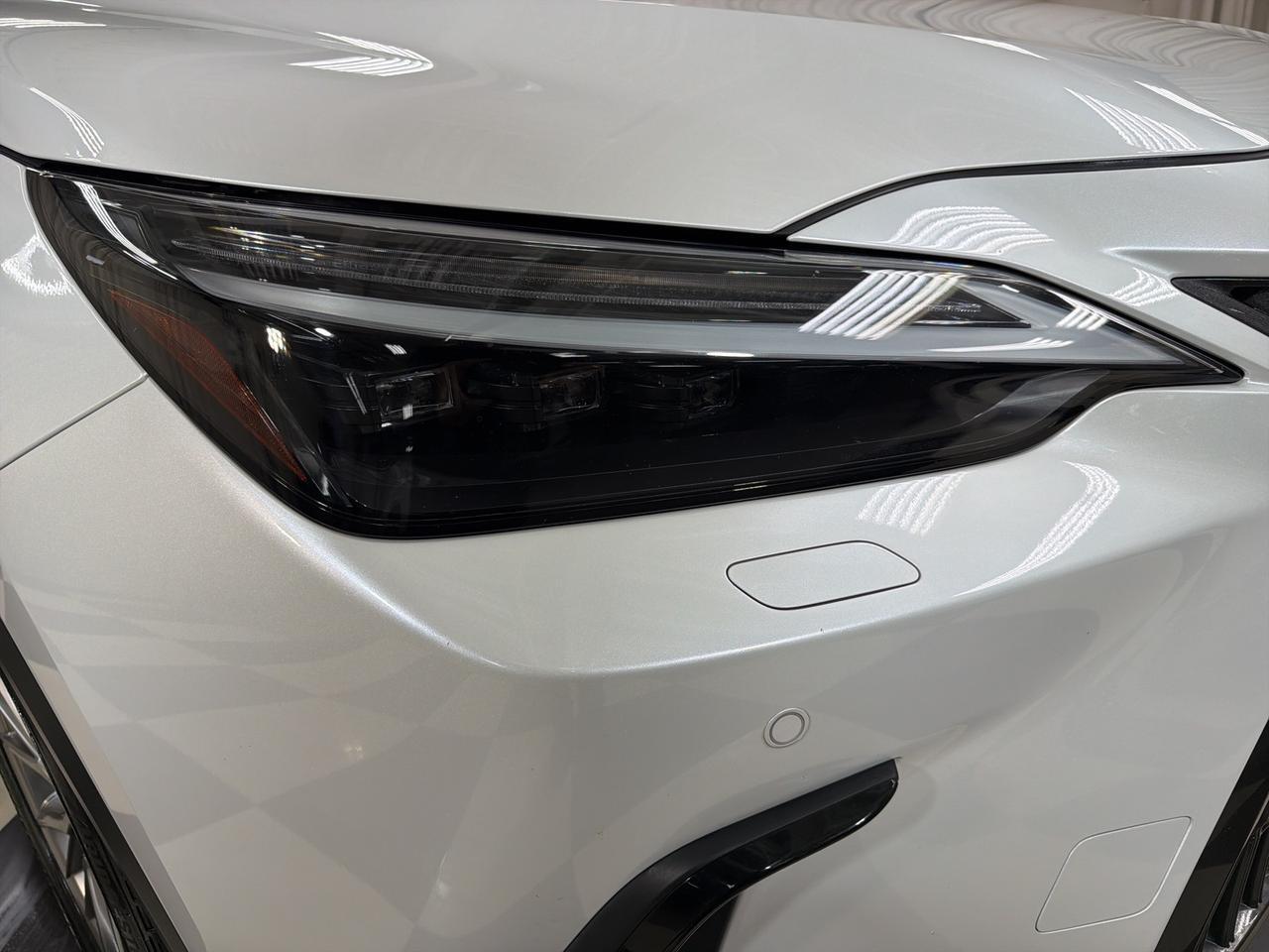 2023 Lexus NX 350 Luxury Annapolis MD