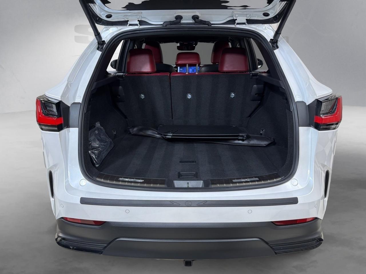 2023 Lexus NX 350 Luxury Annapolis MD