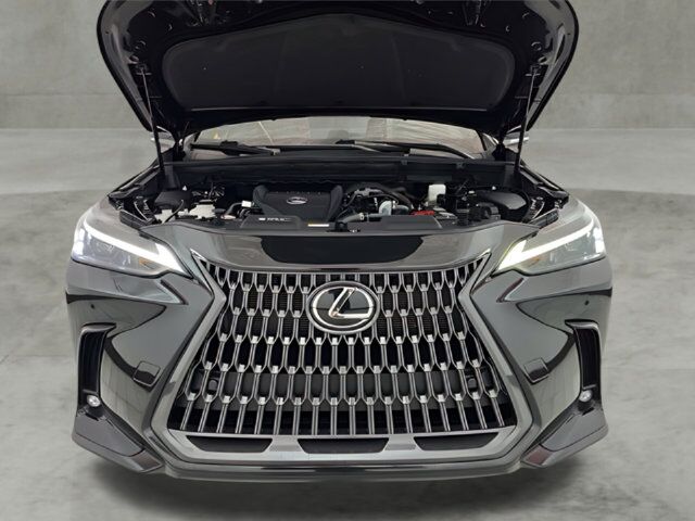 2023 Lexus NX 350 Premium Carrollton TX