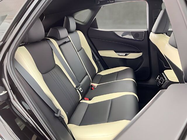 2023 Lexus NX 350 Premium Carrollton TX