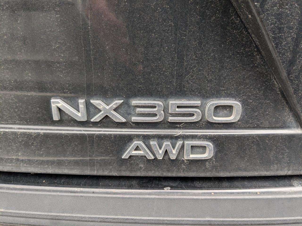 2023 Lexus NX 350 Premium San Antonio TX