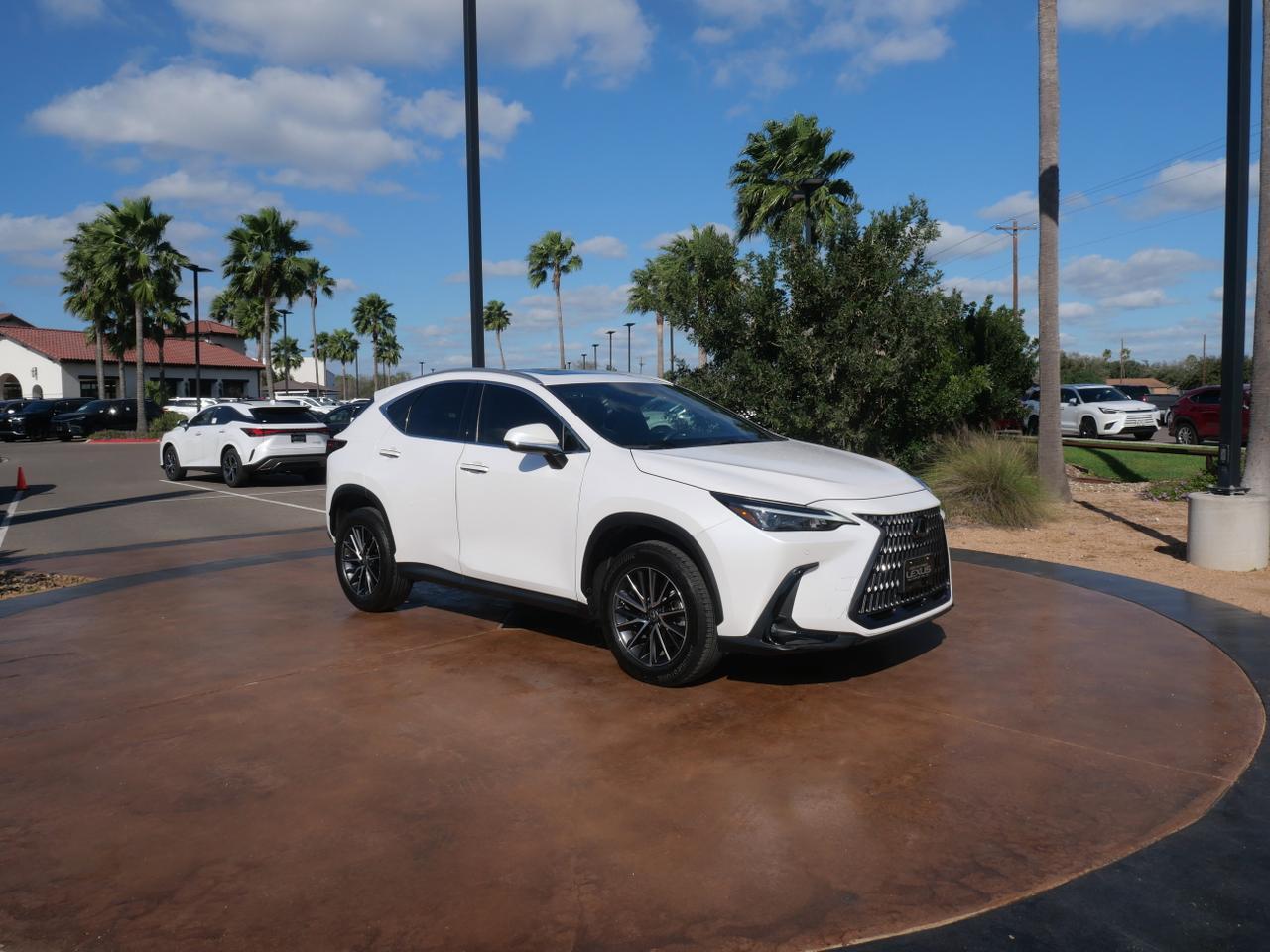 2023 Lexus NX 350 Premium