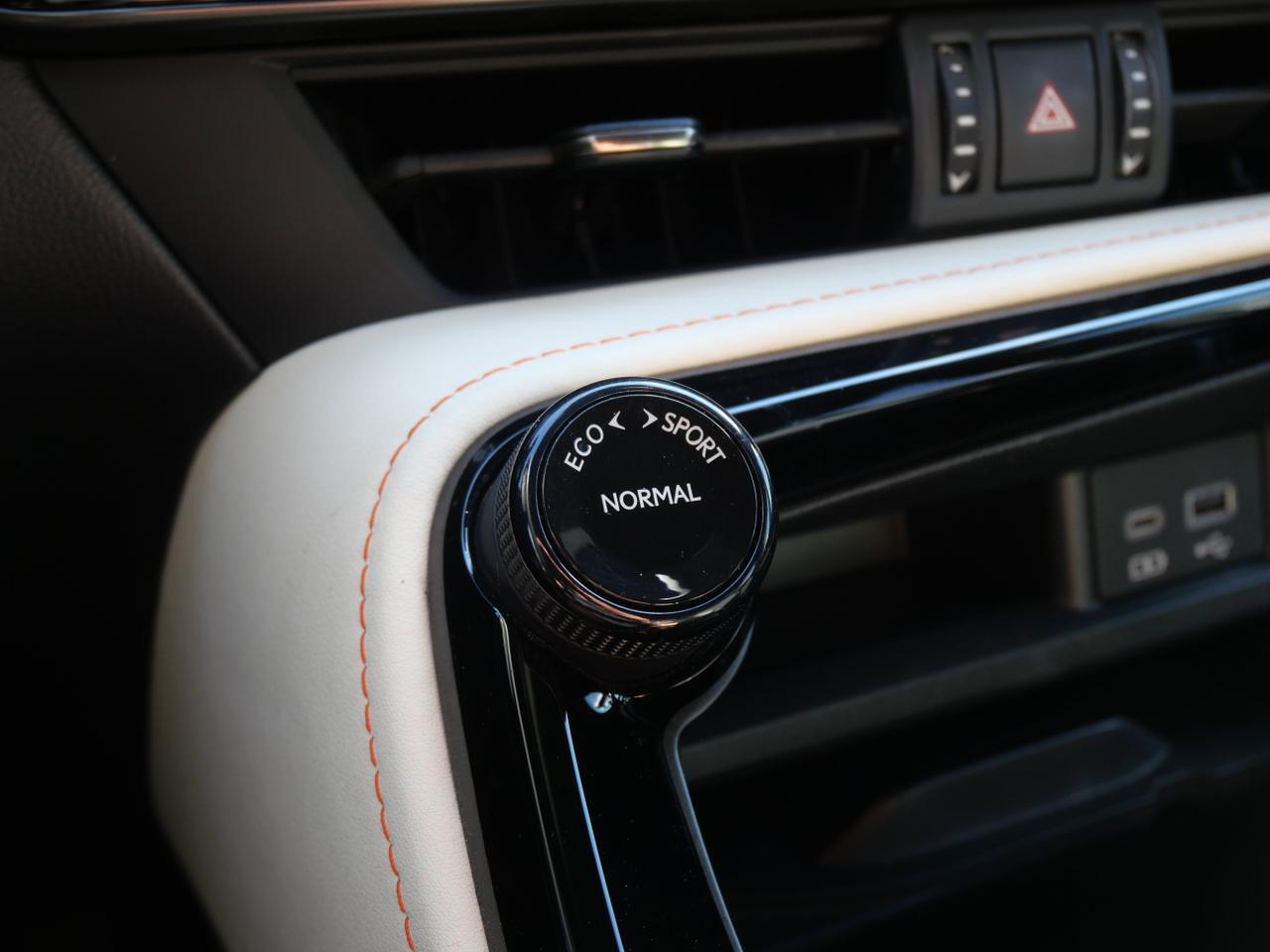 2023 Lexus NX 350 Premium San Juan TX