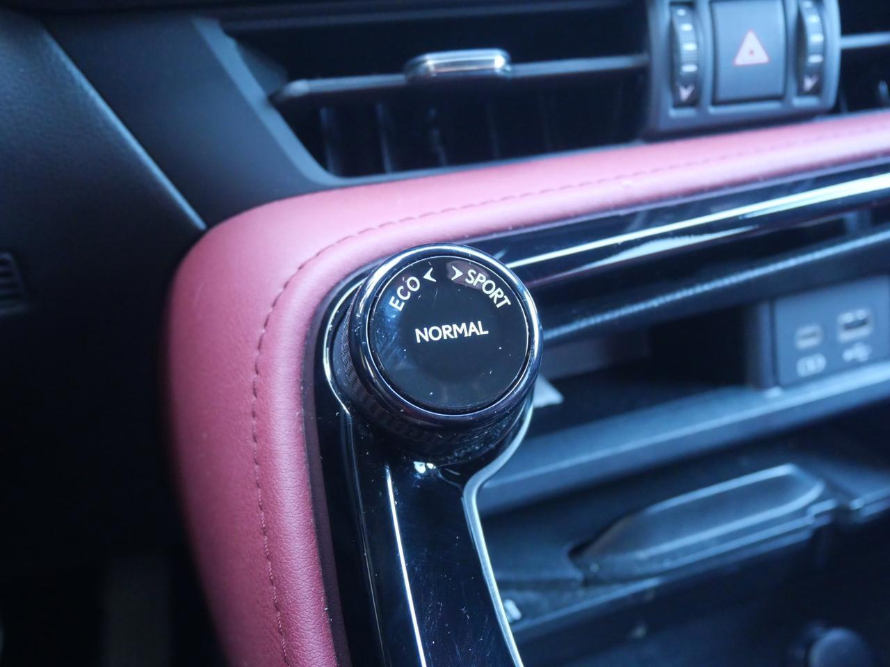 2023 Lexus NX 350 Premium San Juan TX