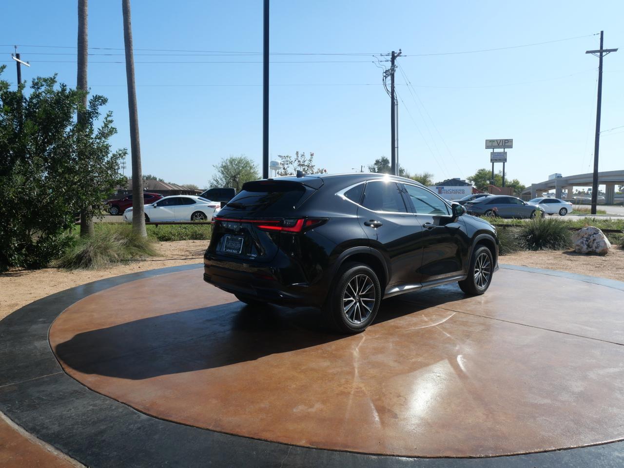 2023 Lexus NX 350 Premium