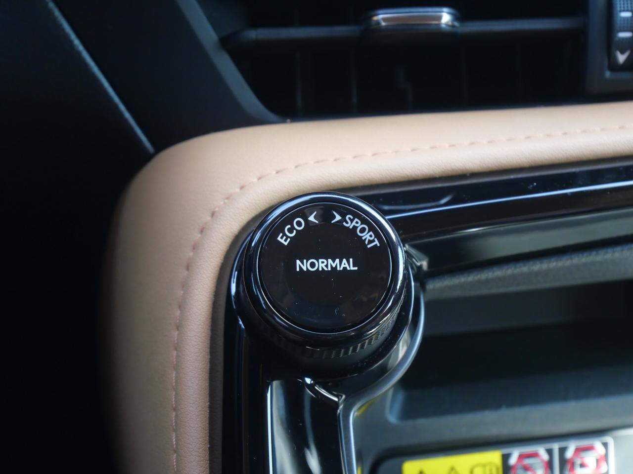 2023 Lexus NX 350 Premium San Juan TX