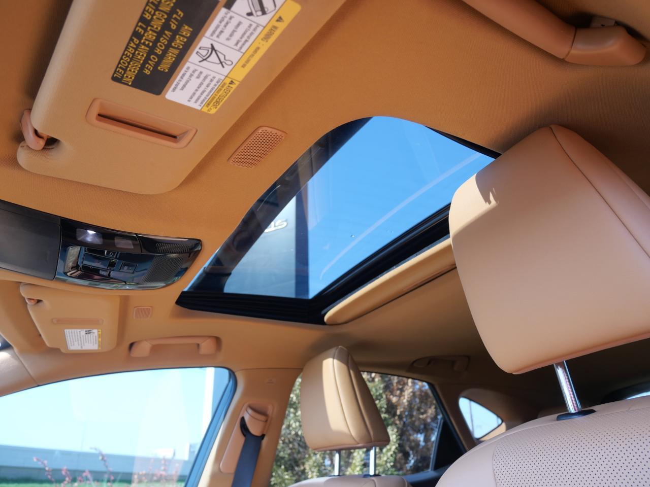 2023 Lexus NX 350 Premium San Juan TX