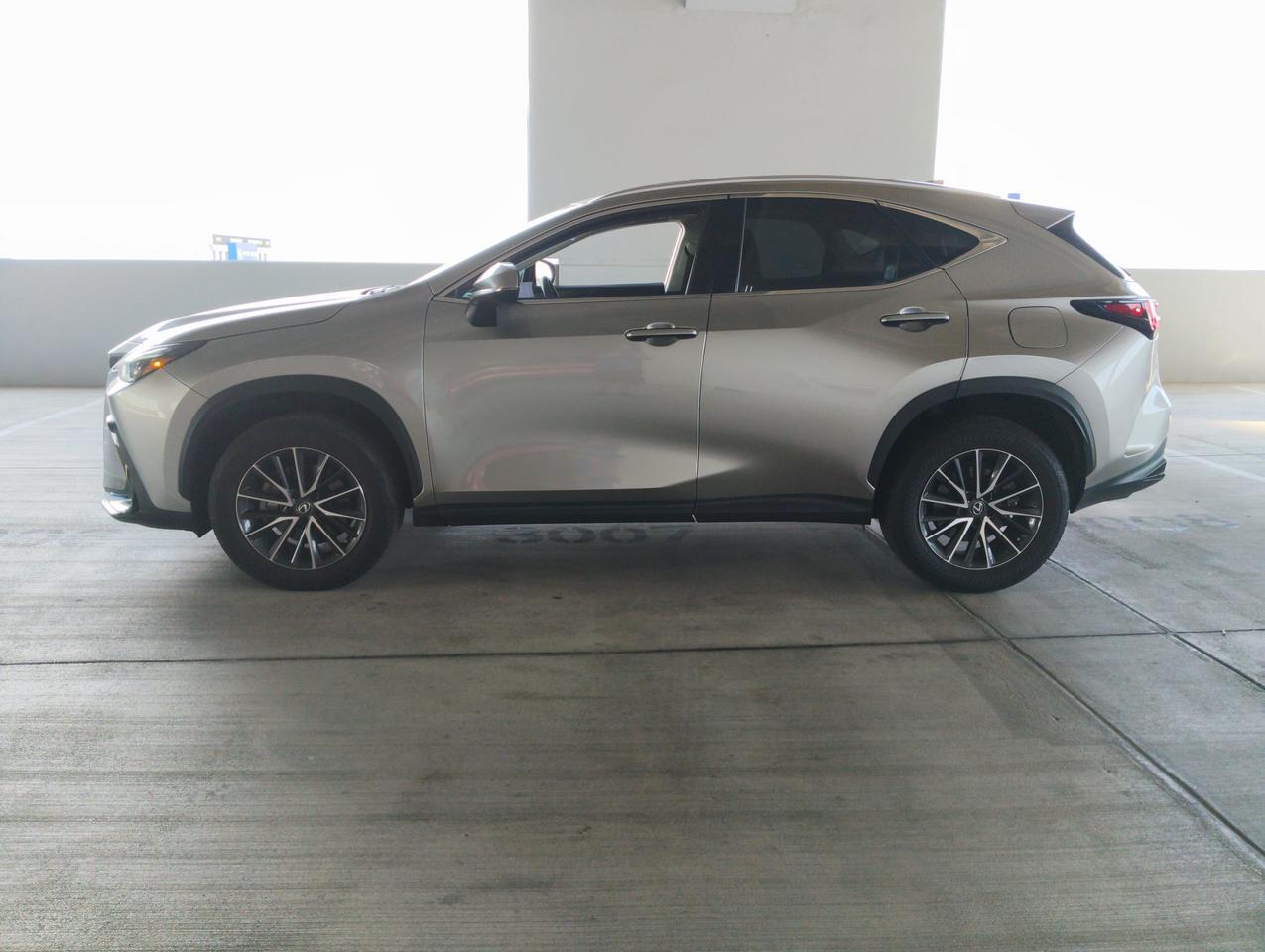 2023 Lexus NX