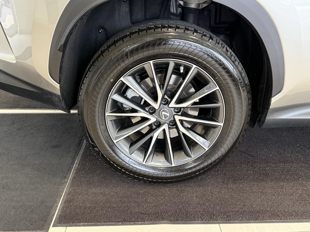 2023 Lexus NX 350 Premium Annapolis MD