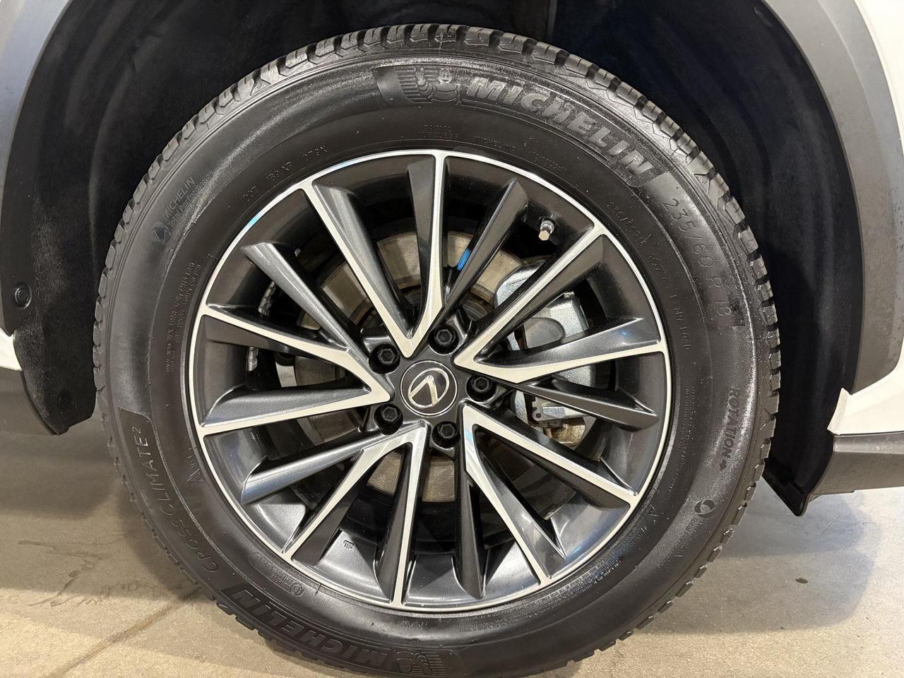 2023 Lexus NX 350h Parker CO
