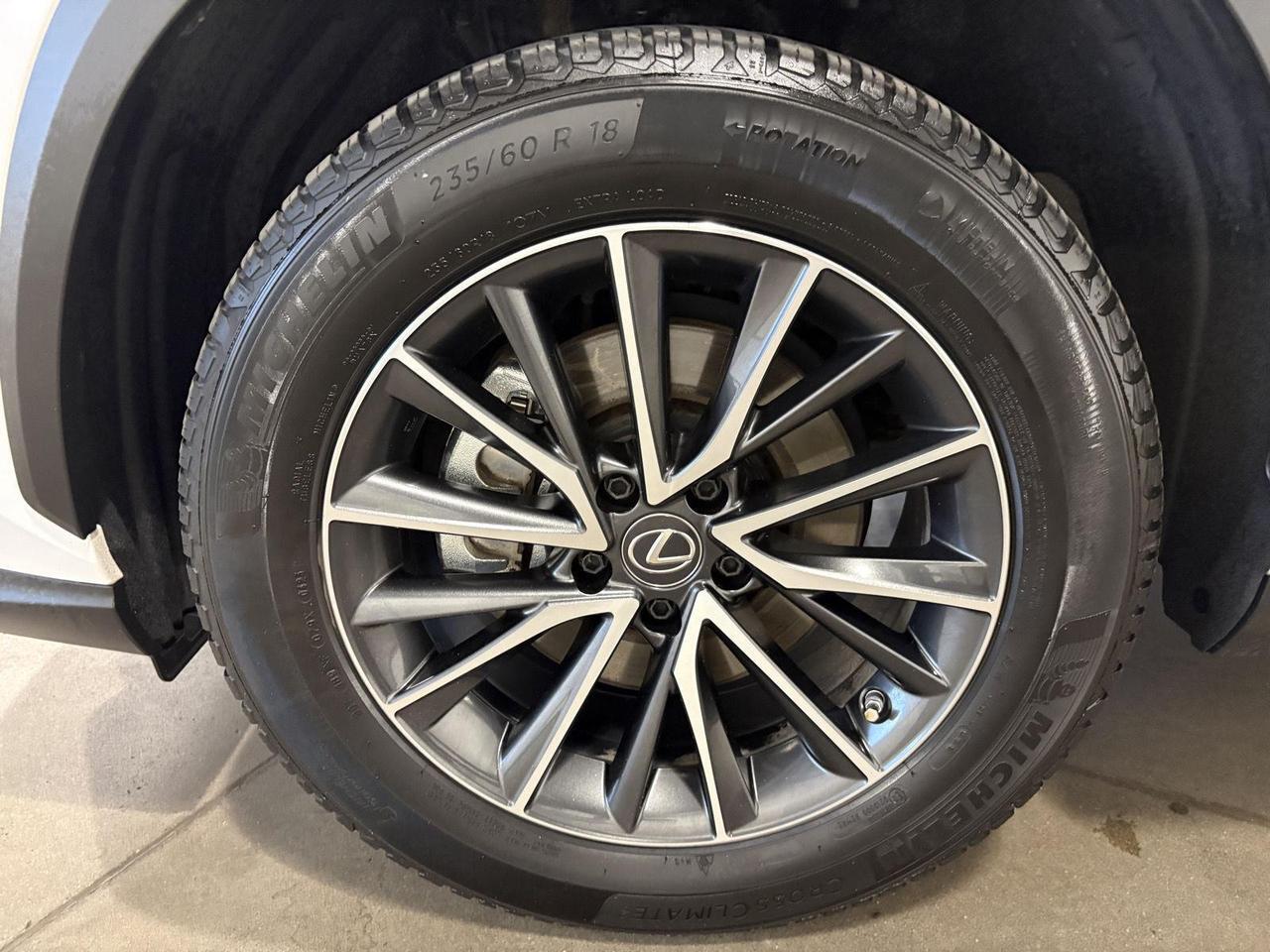2023 Lexus NX 350h Parker CO