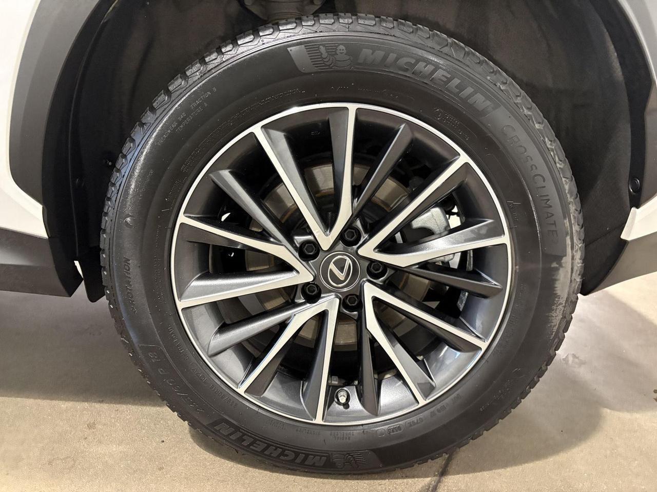 2023 Lexus NX 350h Parker CO