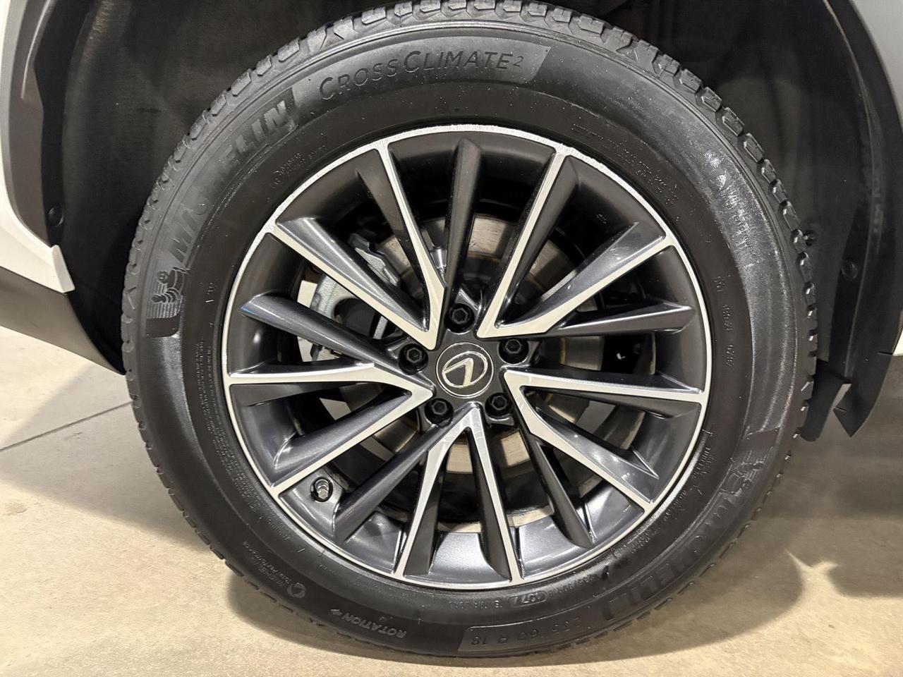 2023 Lexus NX 350h Parker CO
