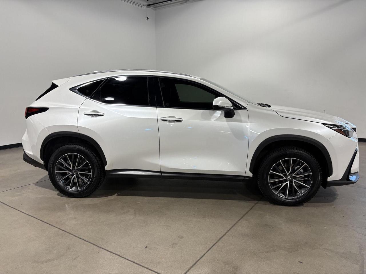 2023 Lexus NX 350h Parker CO