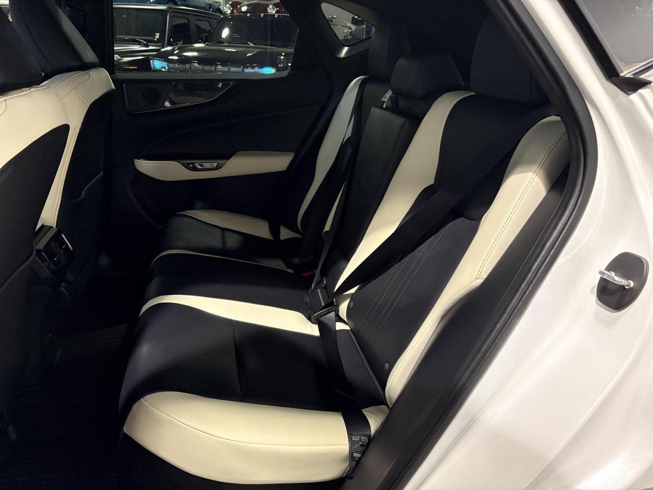 2023 Lexus NX 350h Parker CO