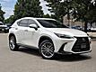 2023 Lexus NX 350h Premium