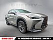 2023 Lexus NX 350h Premium