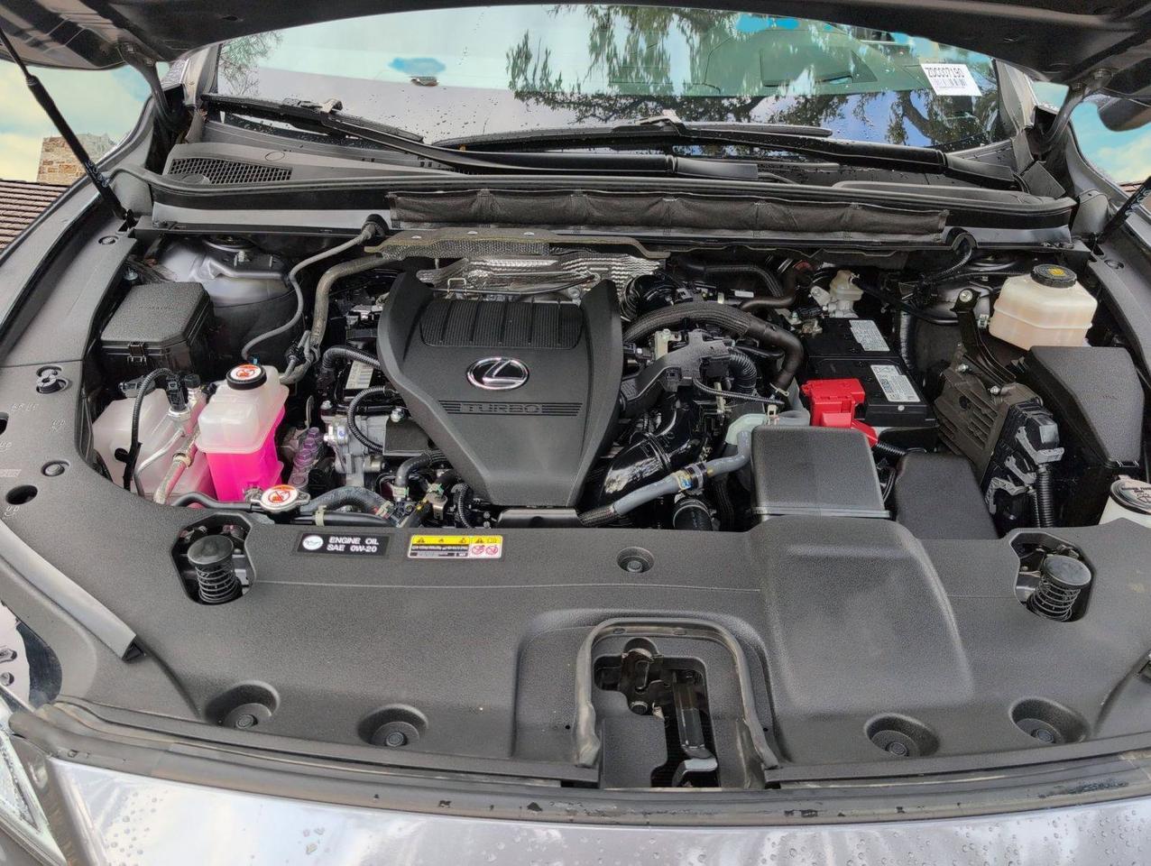 2023 Lexus RX San Antonio TX