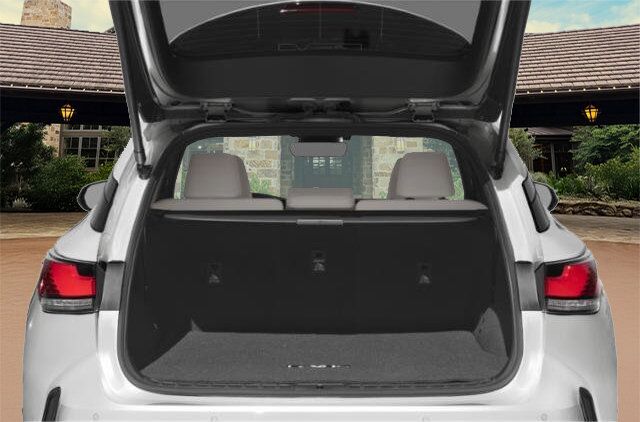 2023 Lexus RX San Antonio TX