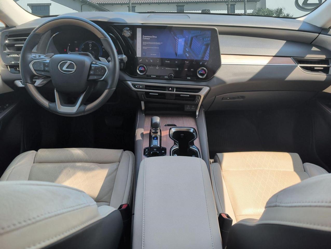 2023 Lexus RX San Juan TX