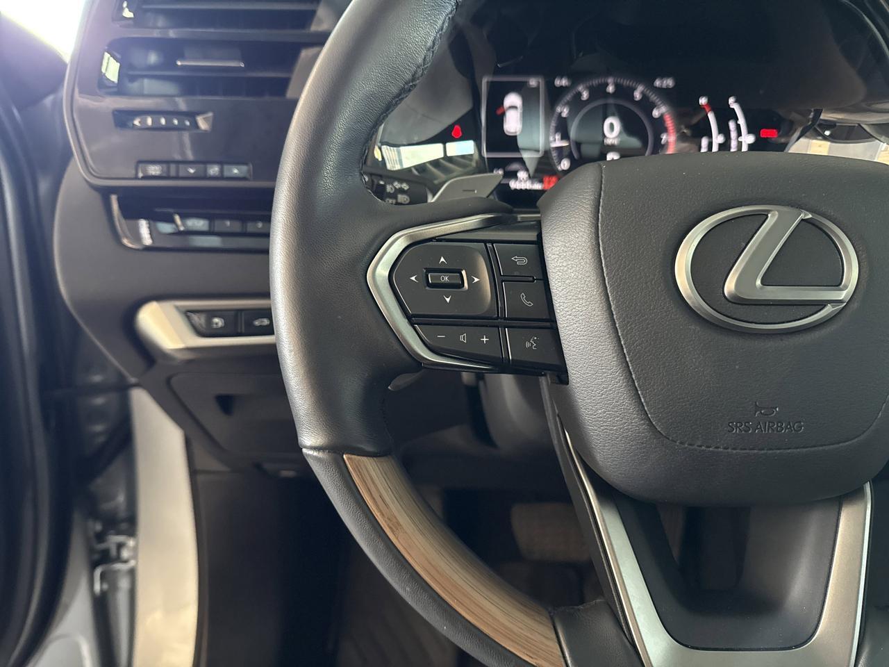 2023 Lexus RX San Antonio TX