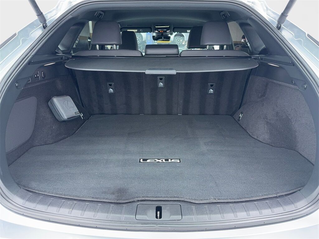 2023 Lexus RX 350 CAM,HTD STS,BLIND SPOT,19&quot; WLS Plano TX