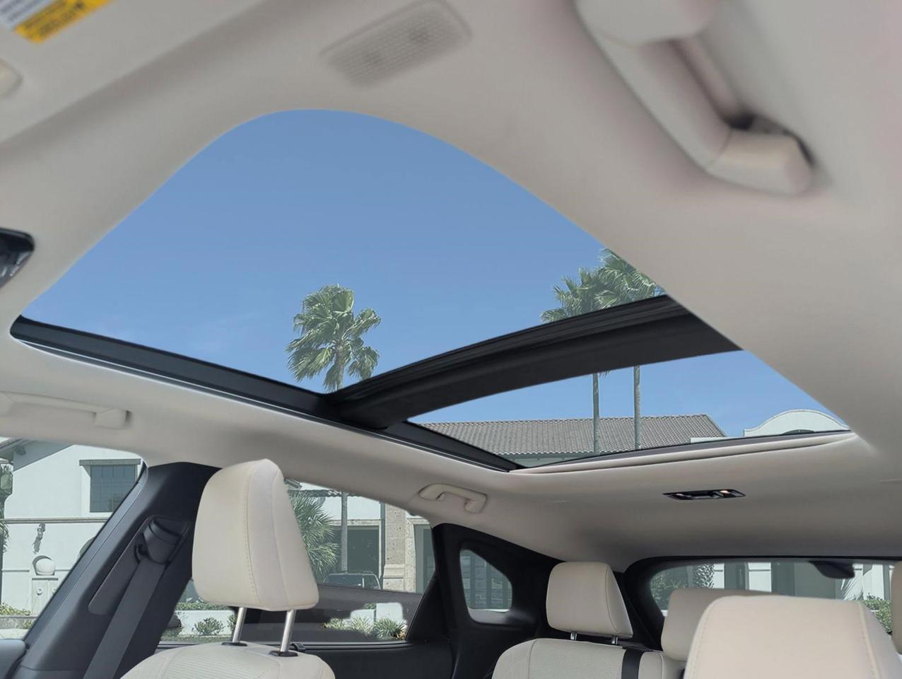 2023 Lexus RX 350 Luxury San Juan TX