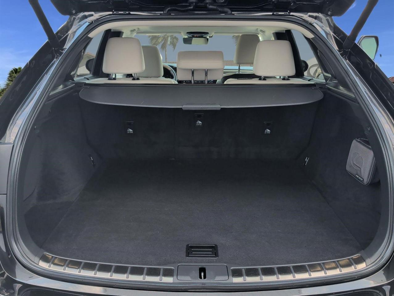 2023 Lexus RX 350 Luxury San Juan TX