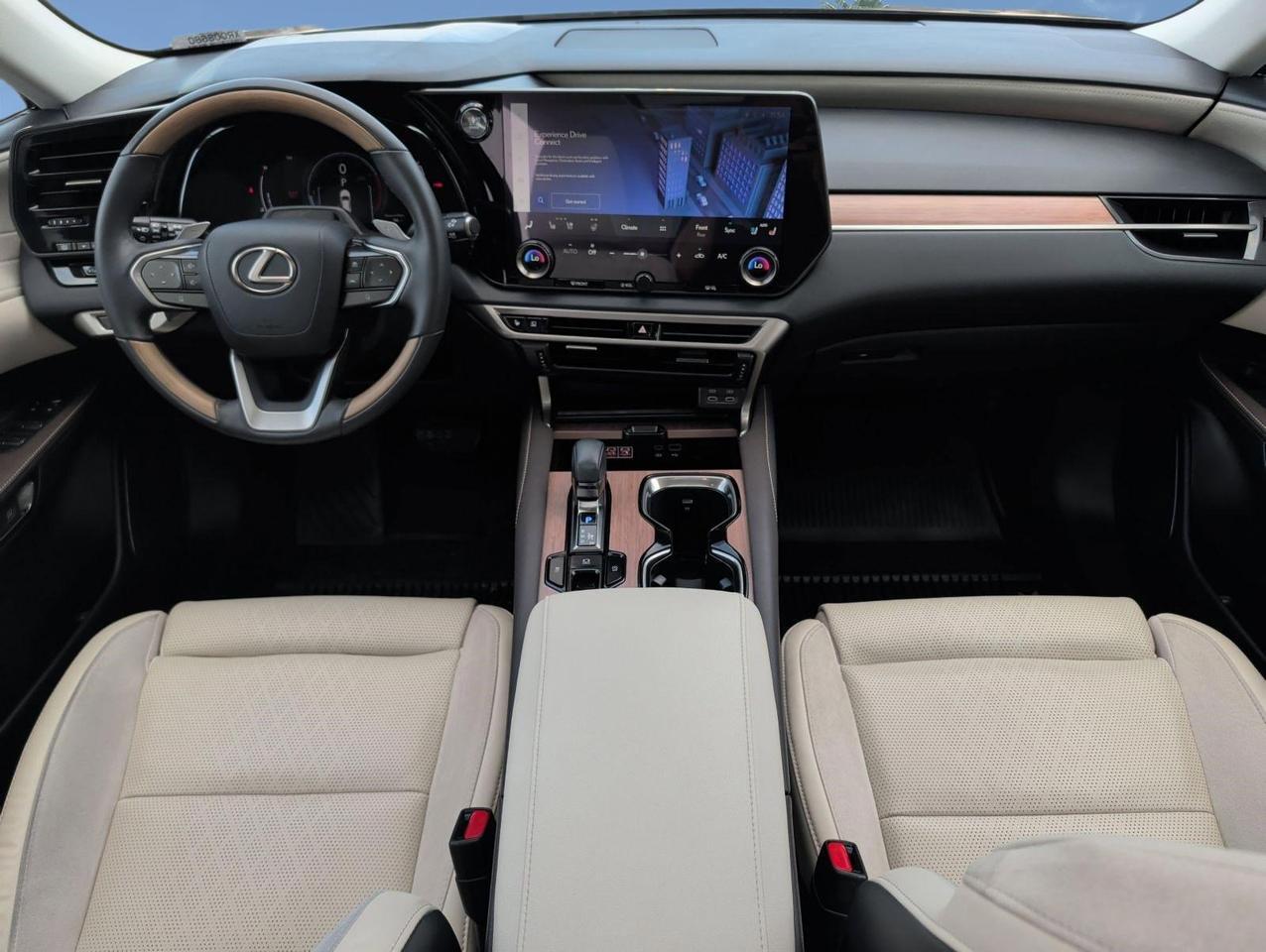 2023 Lexus RX 350 Luxury San Juan TX