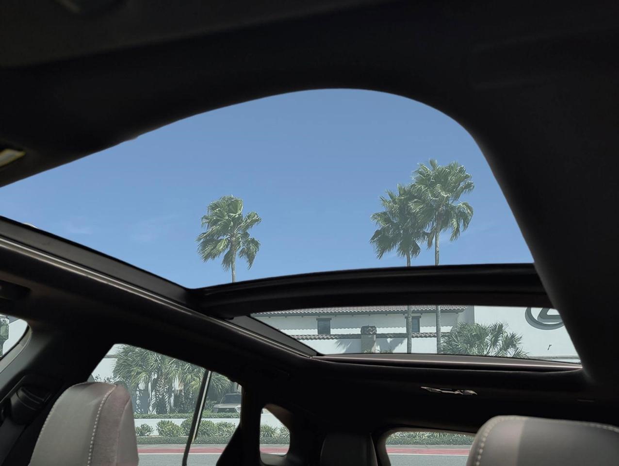2023 Lexus RX 350 Luxury San Juan TX