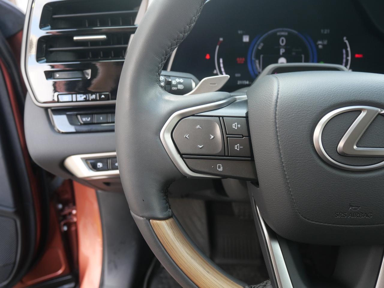 2023 Lexus RX 350h Luxury San Juan TX