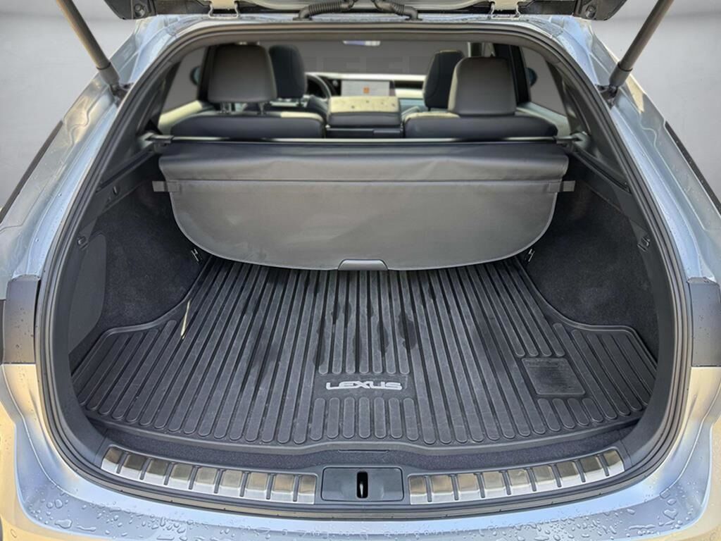 2023 Lexus RX 500h F SPORT Performance Fredericksburg VA