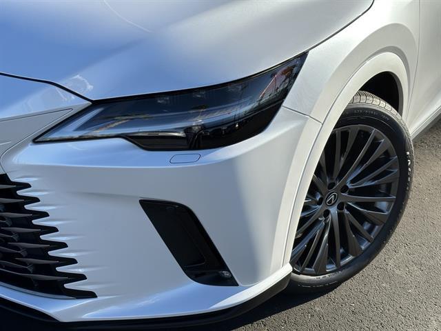 2023 Lexus RX Luxury