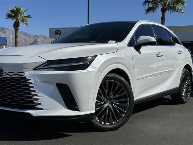 2023 Lexus RX Luxury