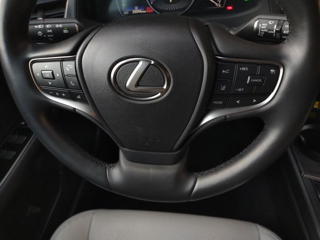 2023 Lexus UX 250h Premium Richmond VA