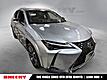 2023 Lexus UX 250h Premium