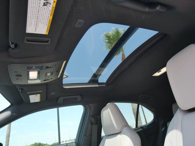 2023 Lexus UX 250h San Juan TX