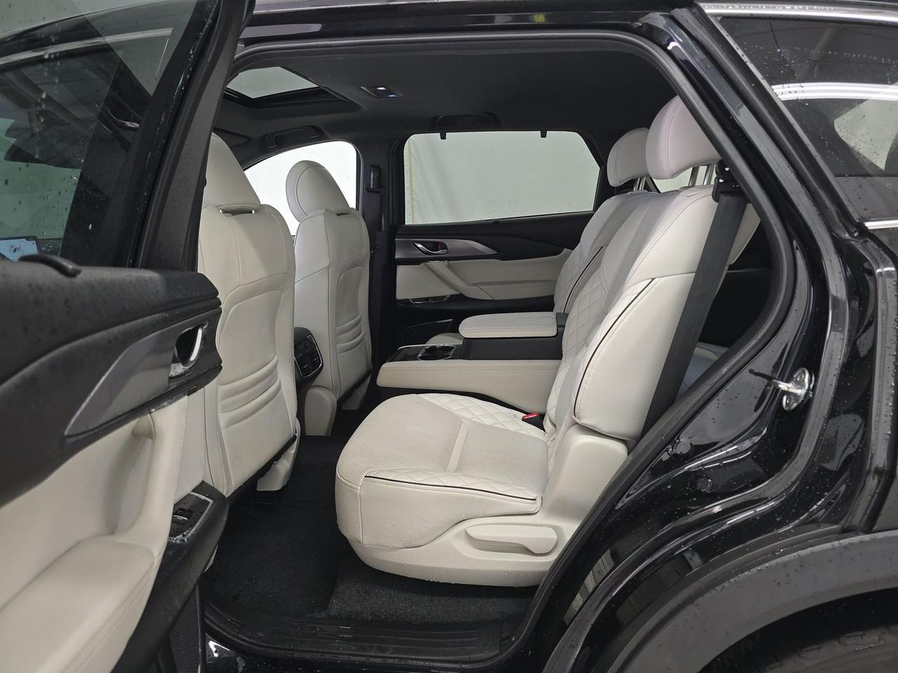 2023 Mazda CX-9 Signature Knoxville TN