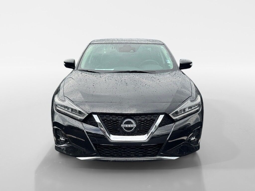 2023 Nissan Maxima Platinum Morristown TN