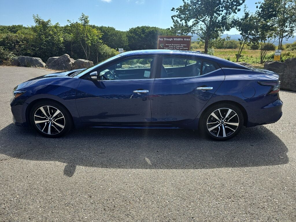 2023 Nissan Maxima SV Eureka CA