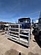 2023 Peterbilt 567