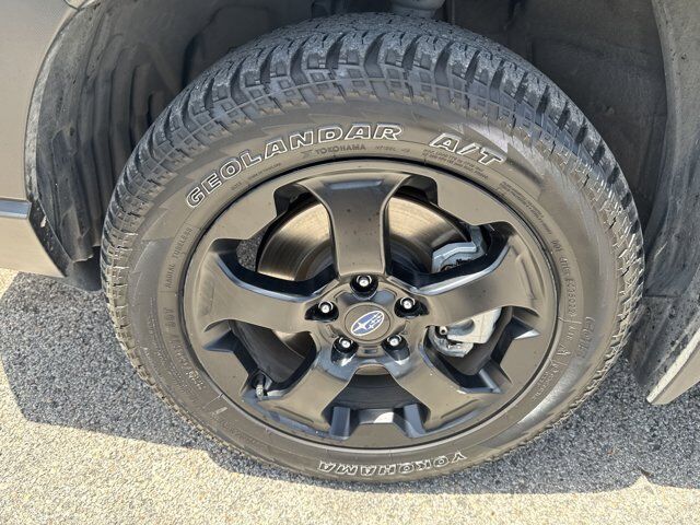2023 Subaru Forester Wilderness San Antonio TX