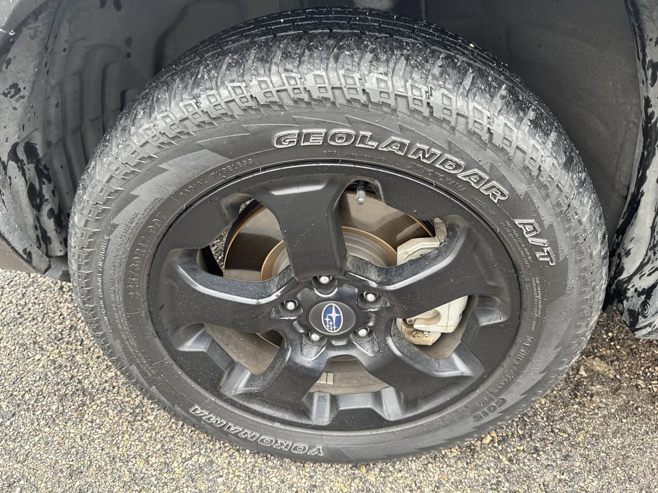 2023 Subaru Forester Wilderness San Antonio TX