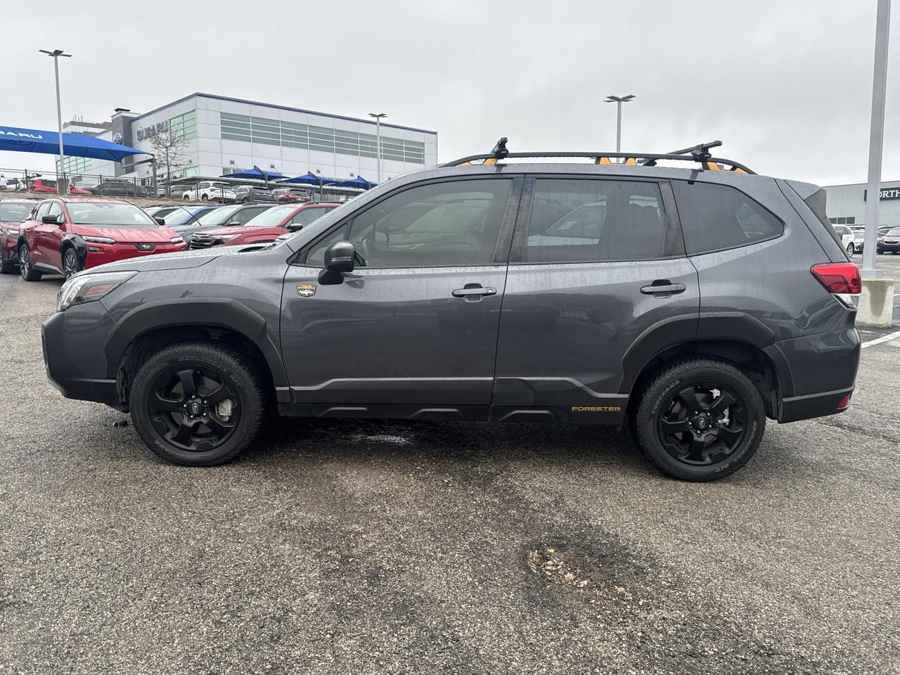 2023 Subaru Forester Wilderness San Antonio TX