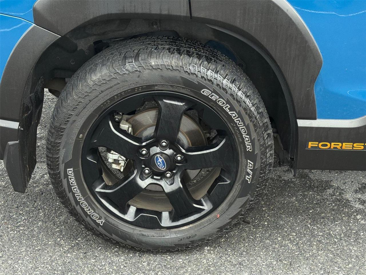 2023 Subaru Forester Wilderness Hagerstown MD