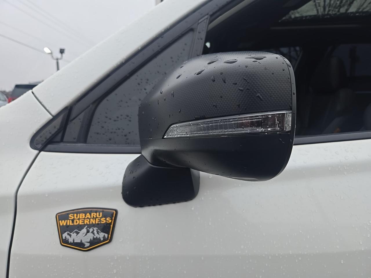 2023 Subaru Forester Wilderness Fredericksburg VA