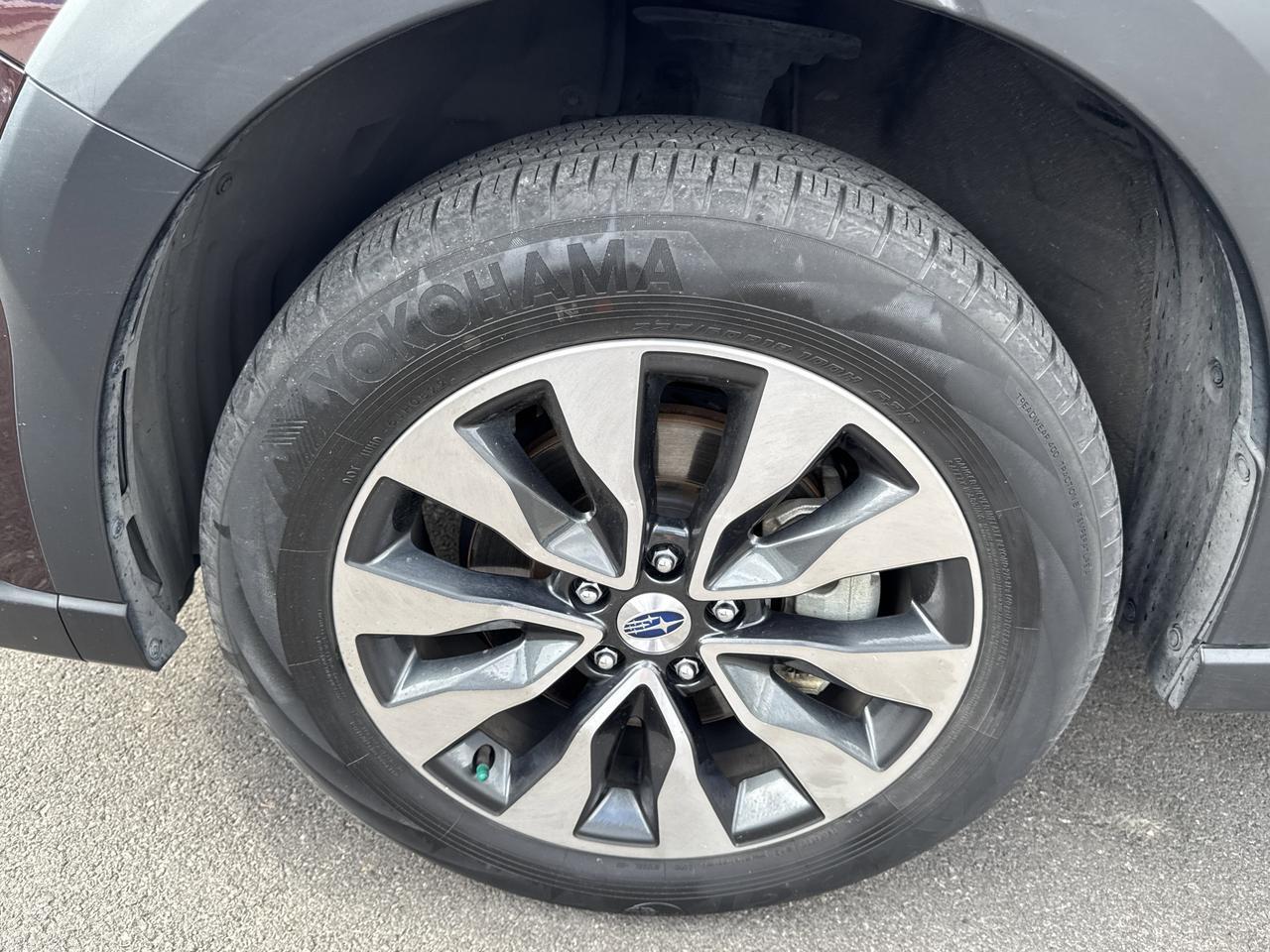 2023 Subaru Outback Limited San Antonio TX