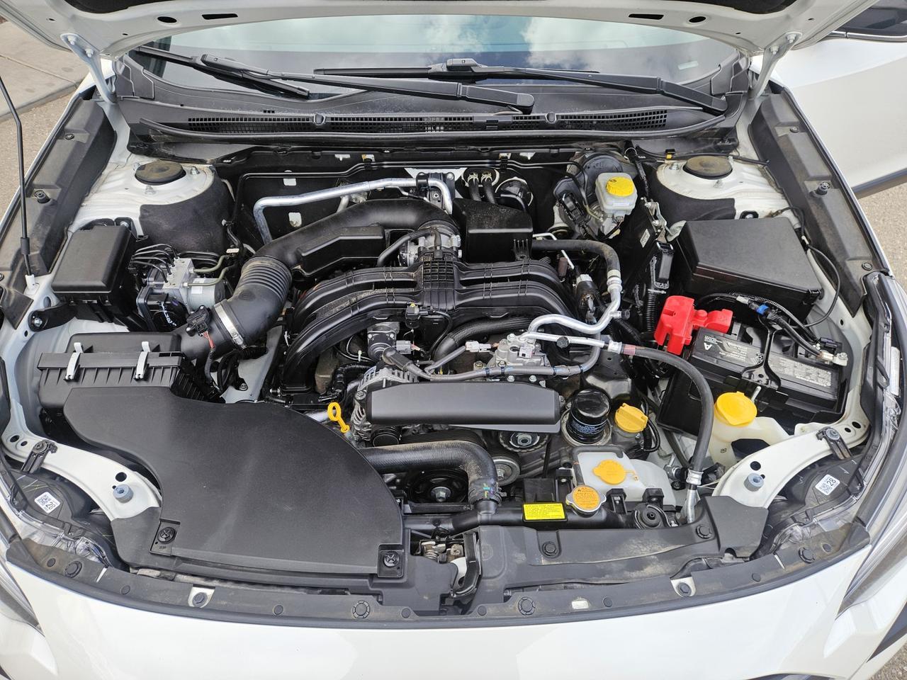 2023 Subaru Outback Premium Grand Junction CO