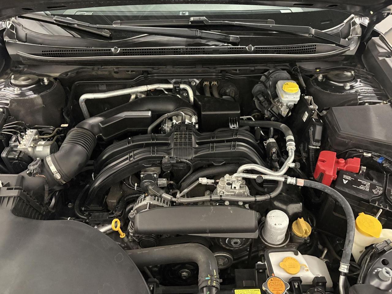 2023 Subaru Outback Touring Parker CO