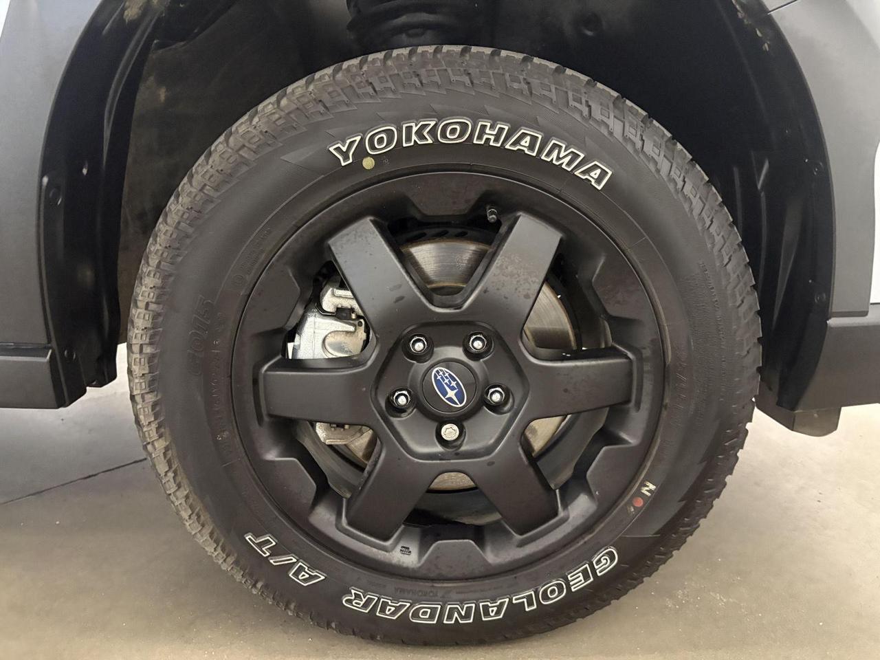 2023 Subaru Outback Wilderness Parker CO